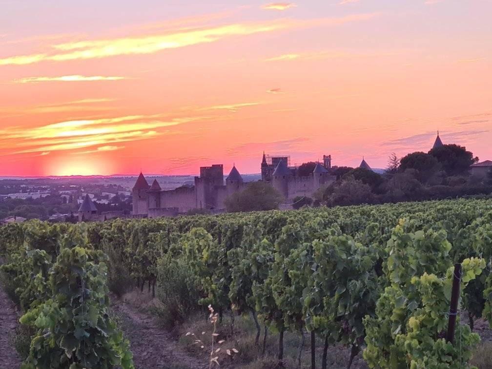 Meuble De Tourisme 4 Etoiles Logis Riquet Proche De Carcassonne Villa Caux-et-Sauzens Exteriör bild